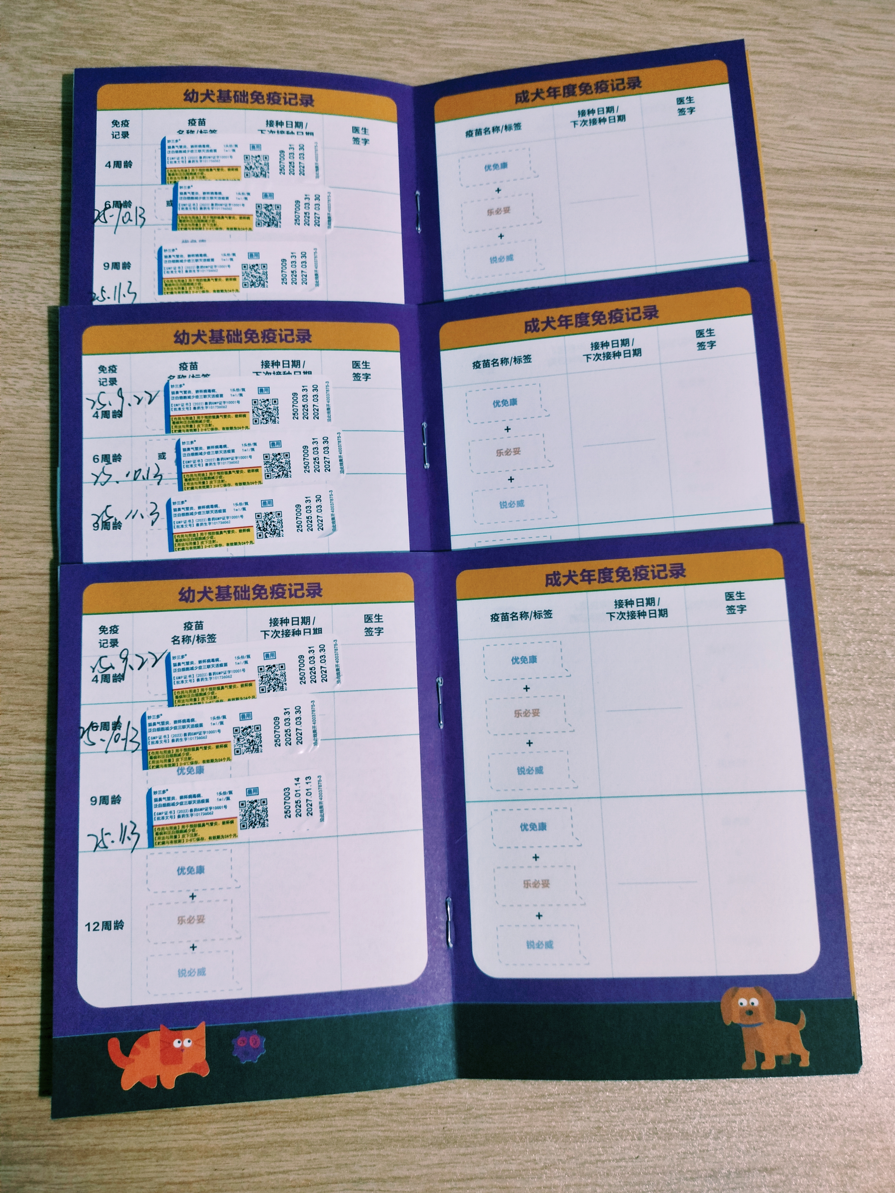 自家养育金渐层，超优雅、超可爱、超懂事……